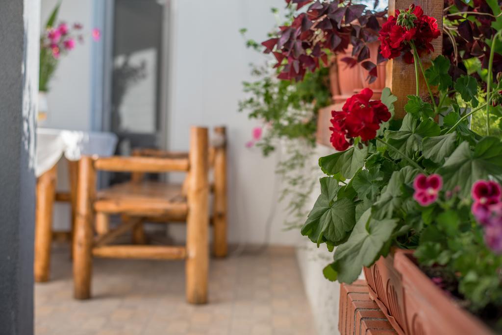 Guesthouse Juli Сапарева-Баня Экстерьер фото